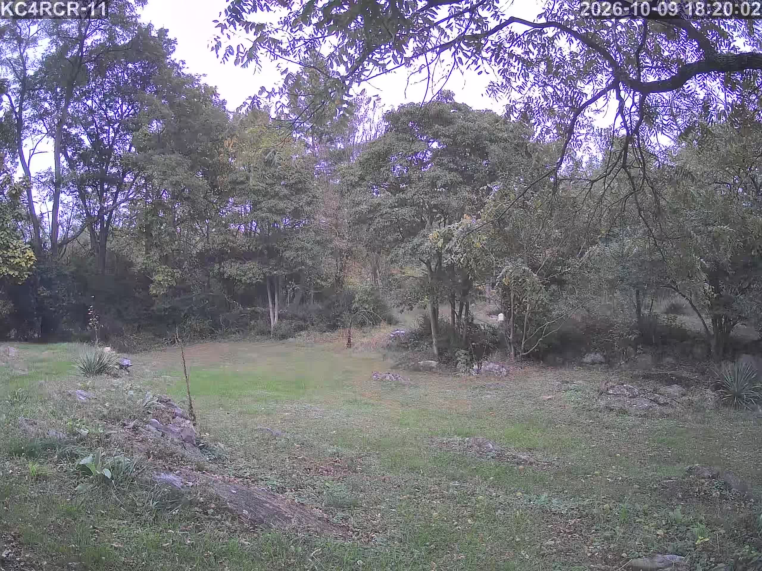 Outside camera view