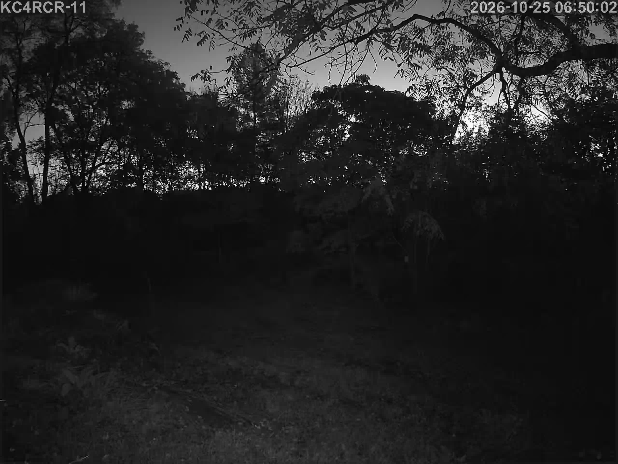 Outside camera view