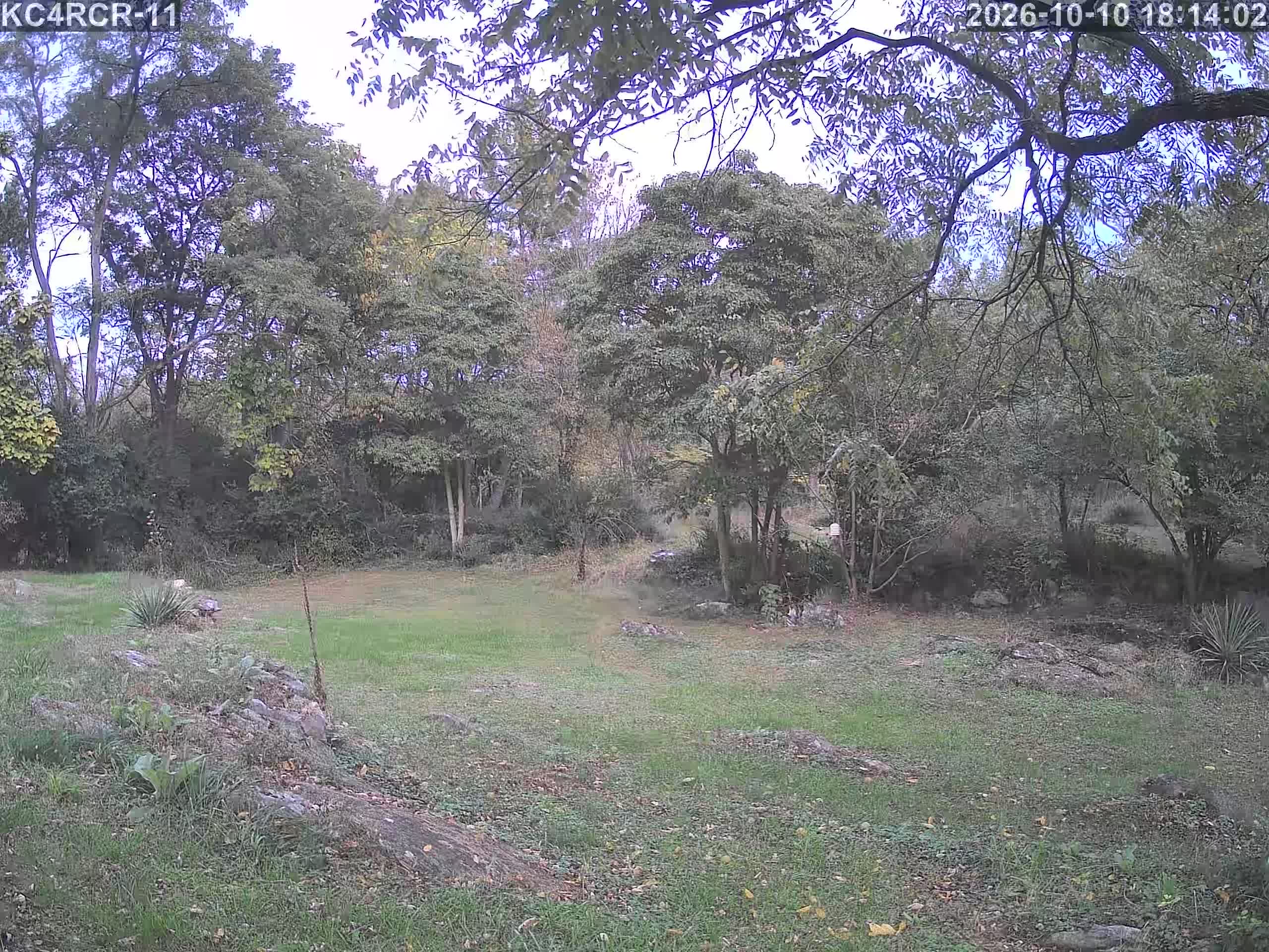 Outside camera view