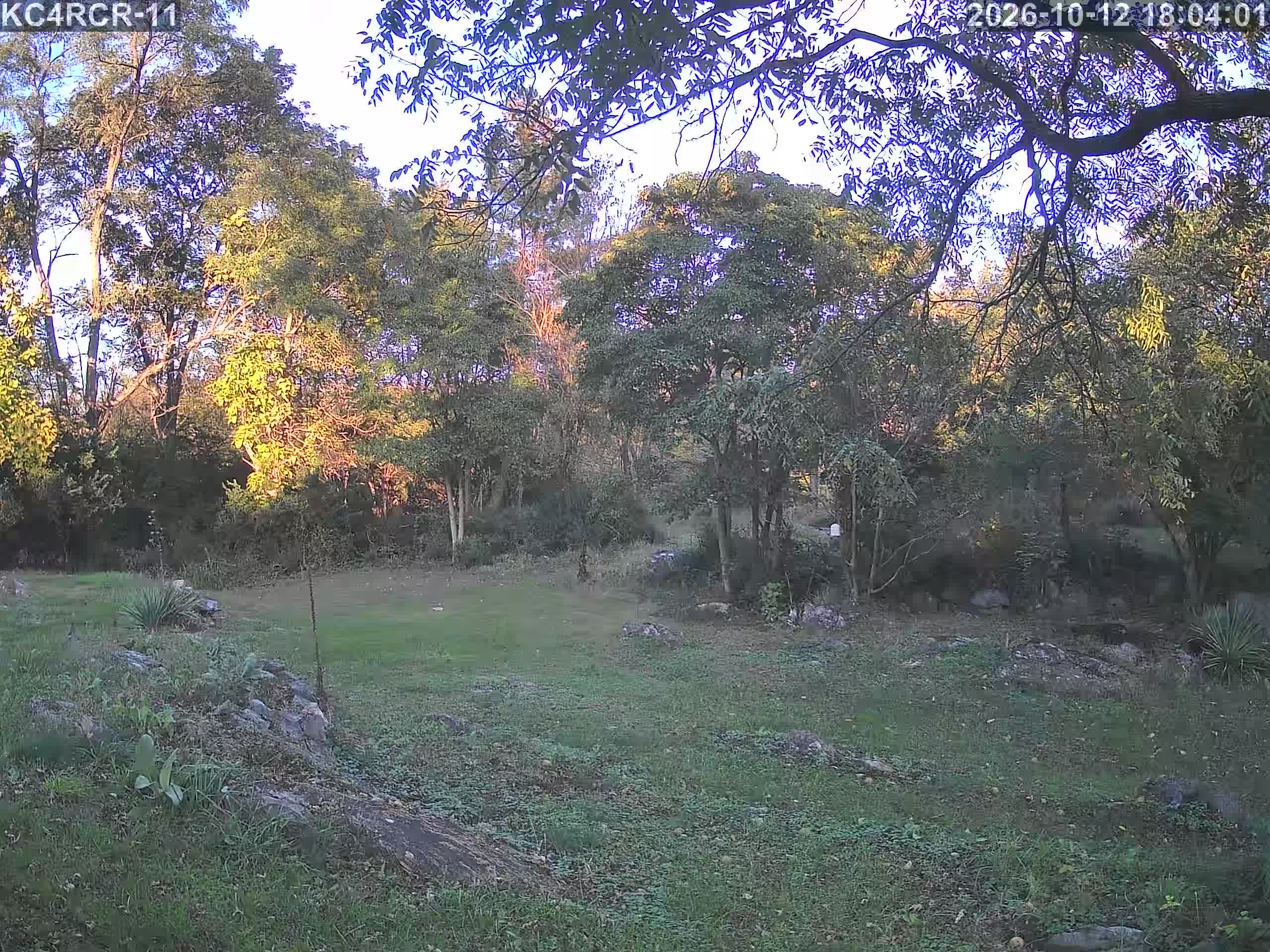 Outside camera view