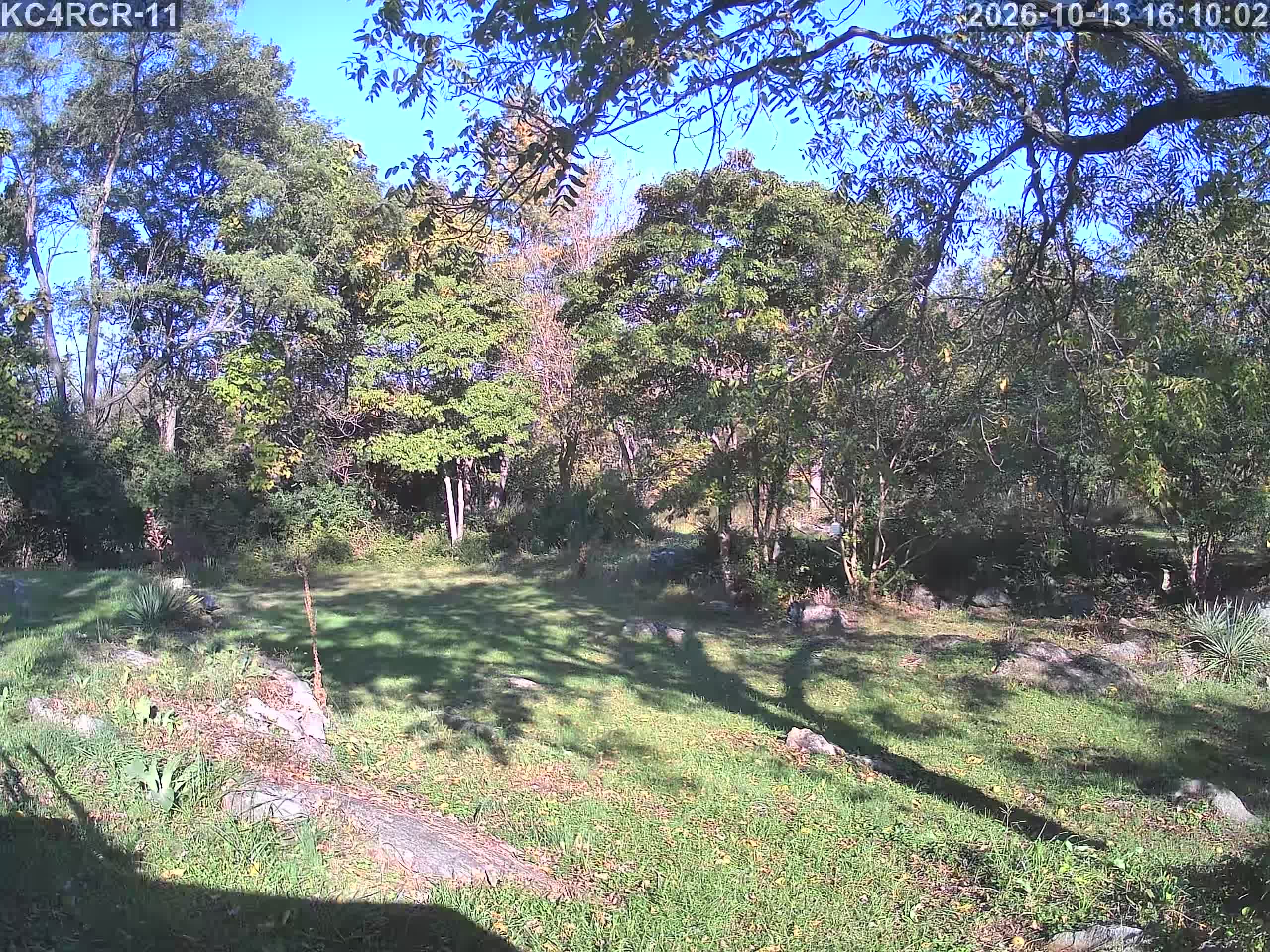 Outside camera view