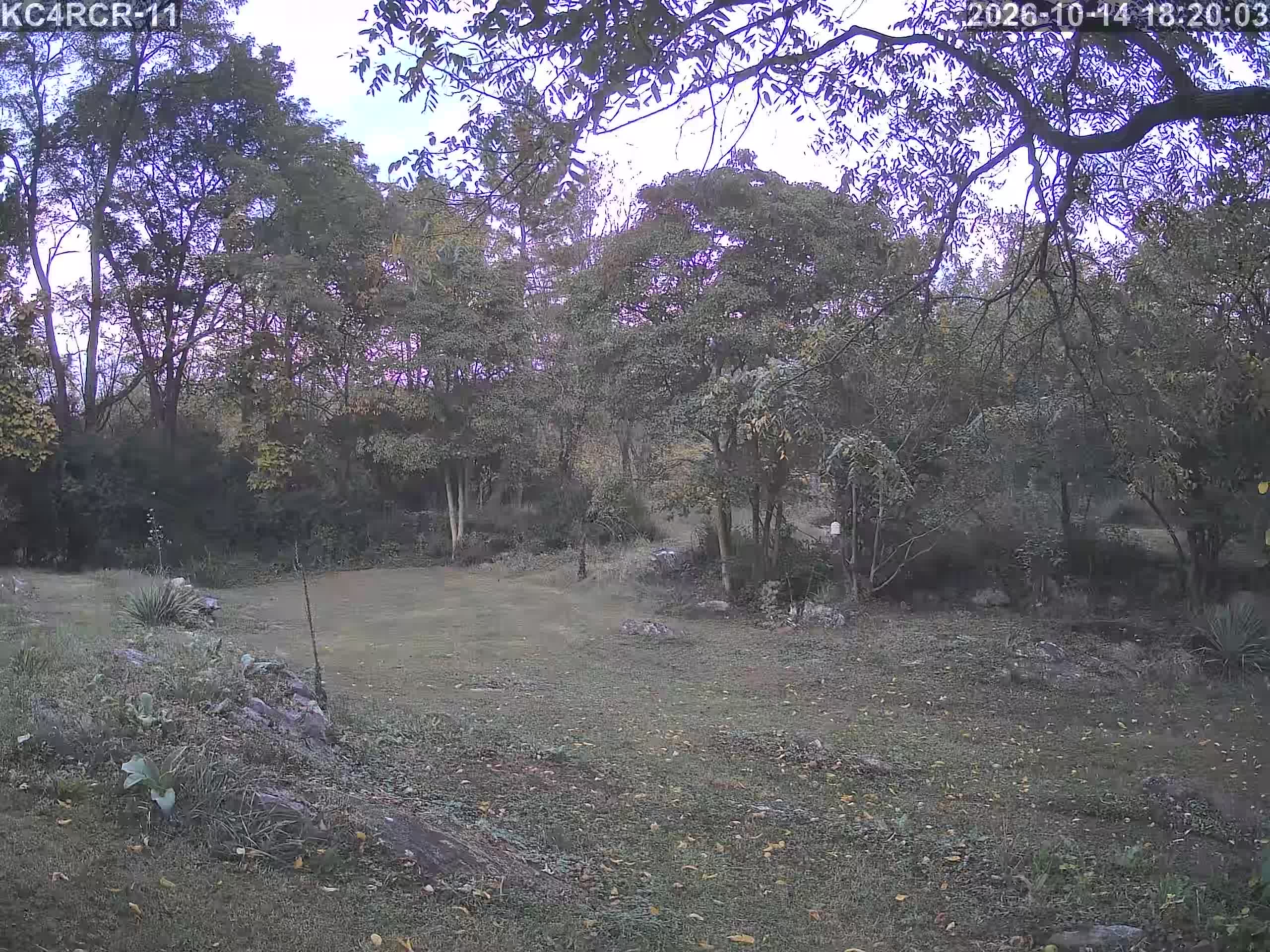 Outside camera view
