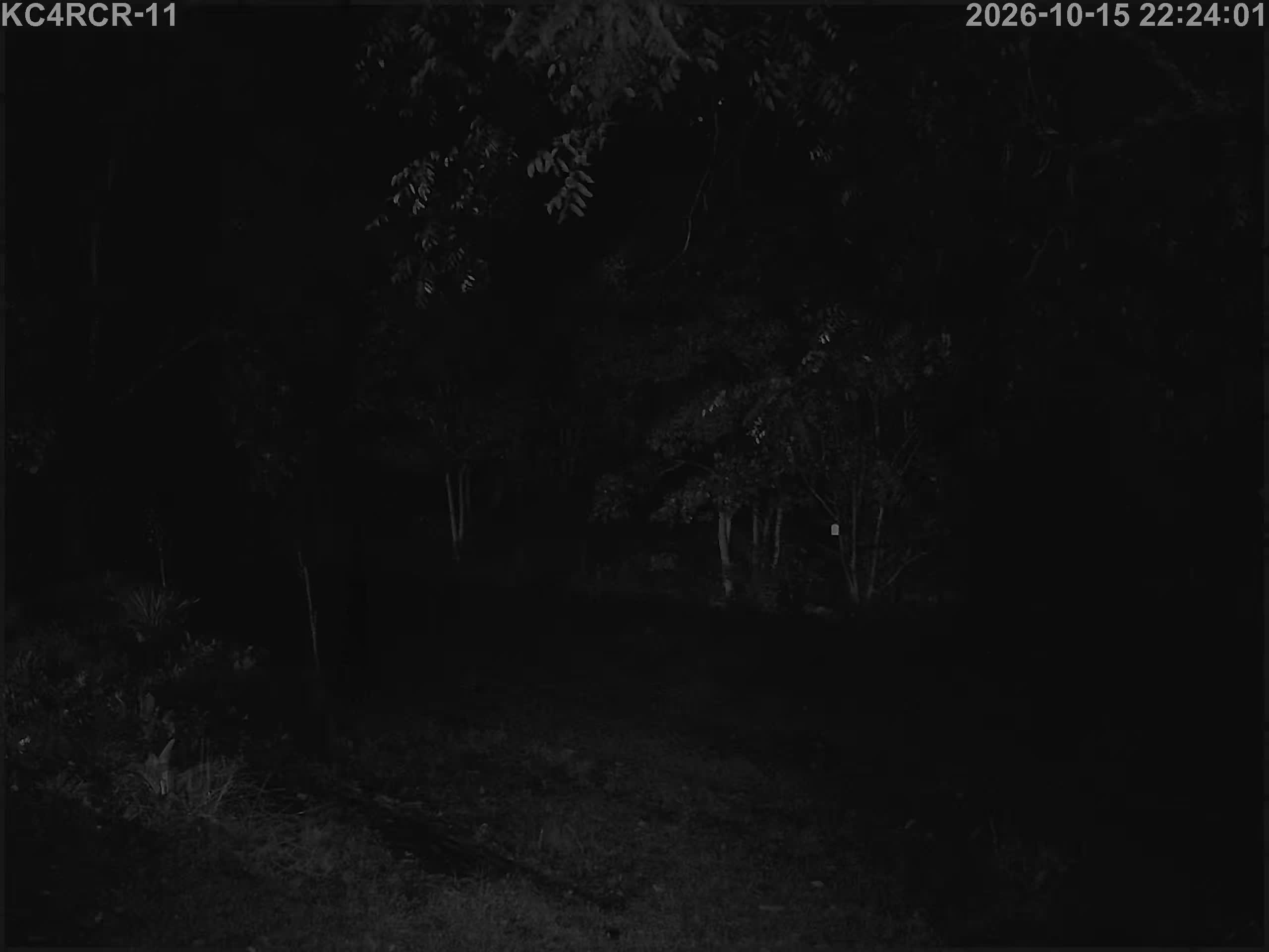 Outside camera view