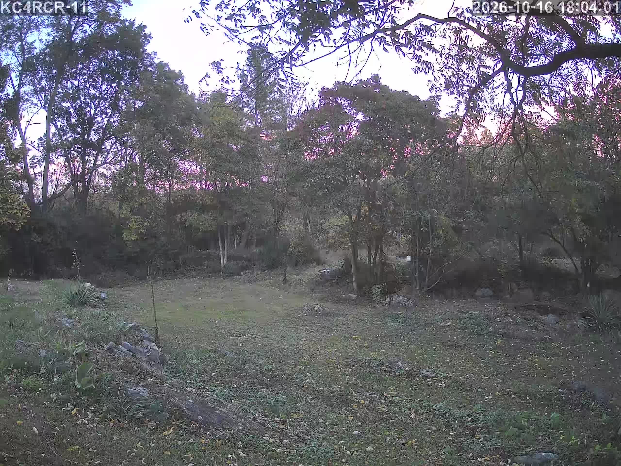 Outside camera view