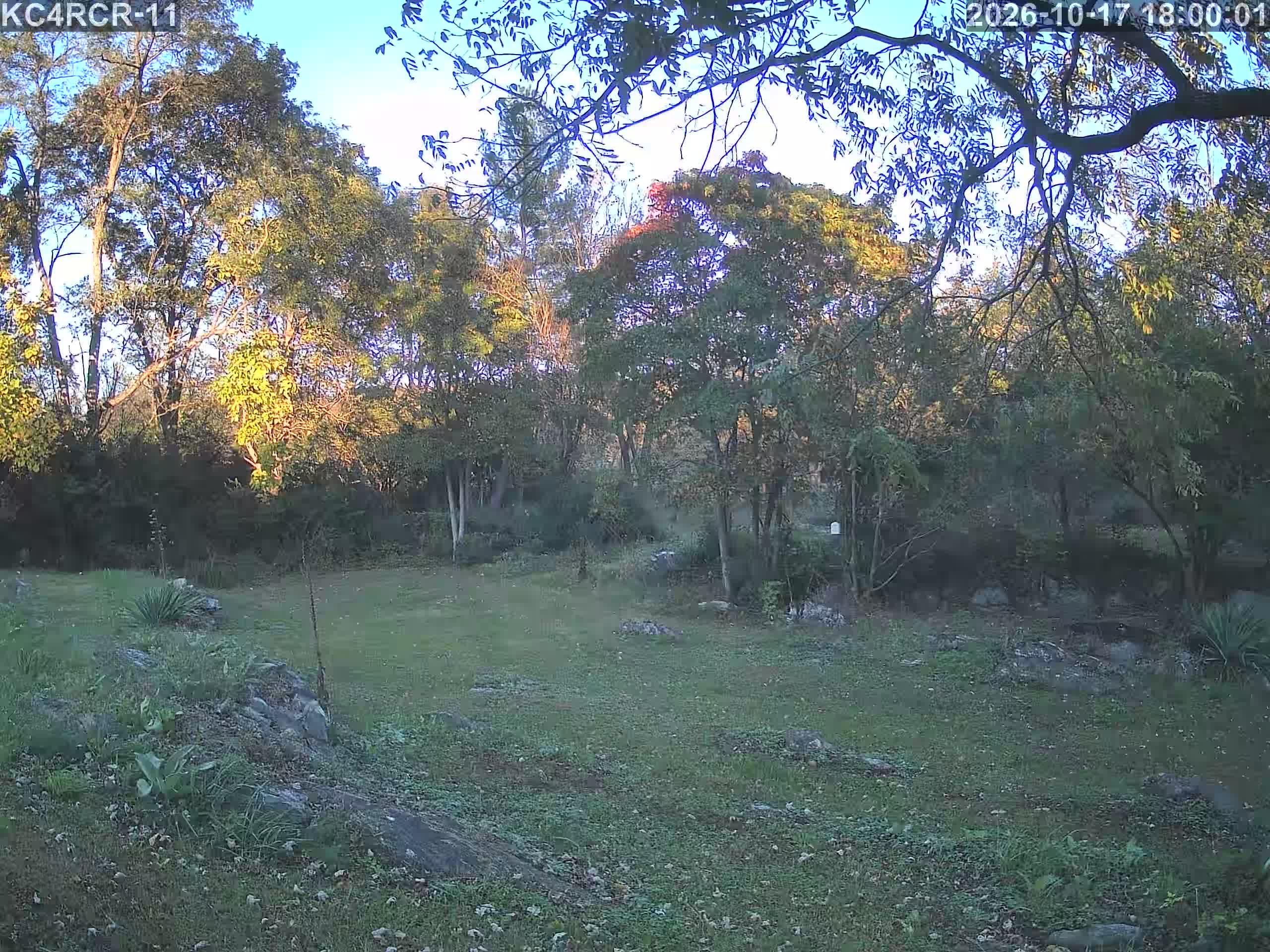 Outside camera view