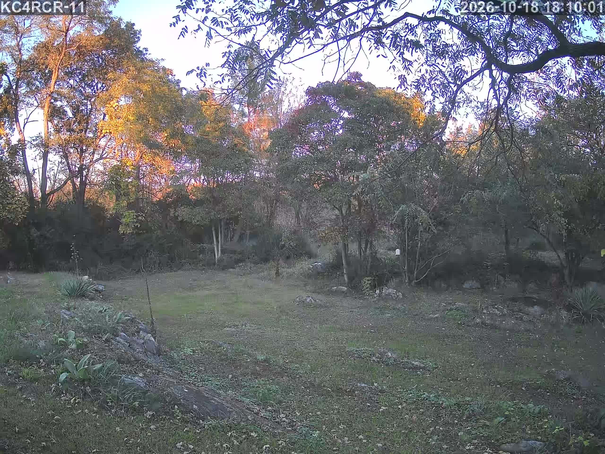 Outside camera view