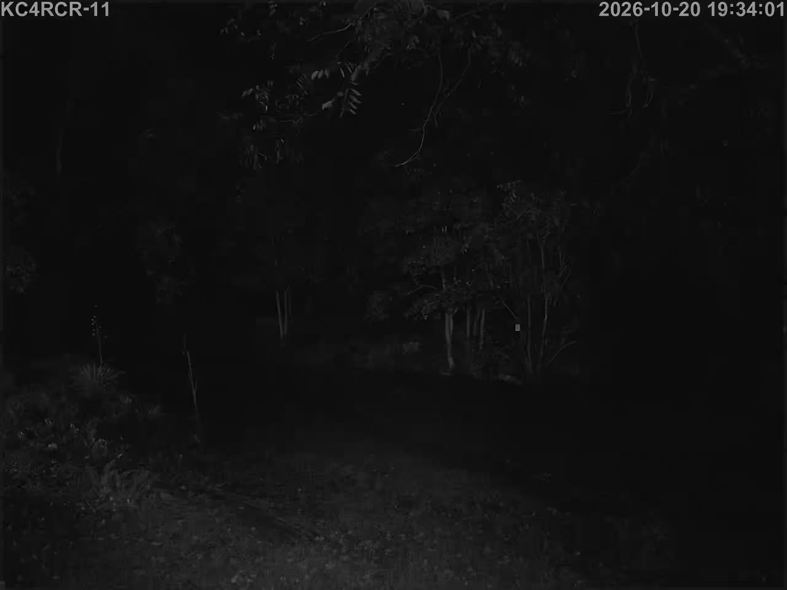 Outside camera view