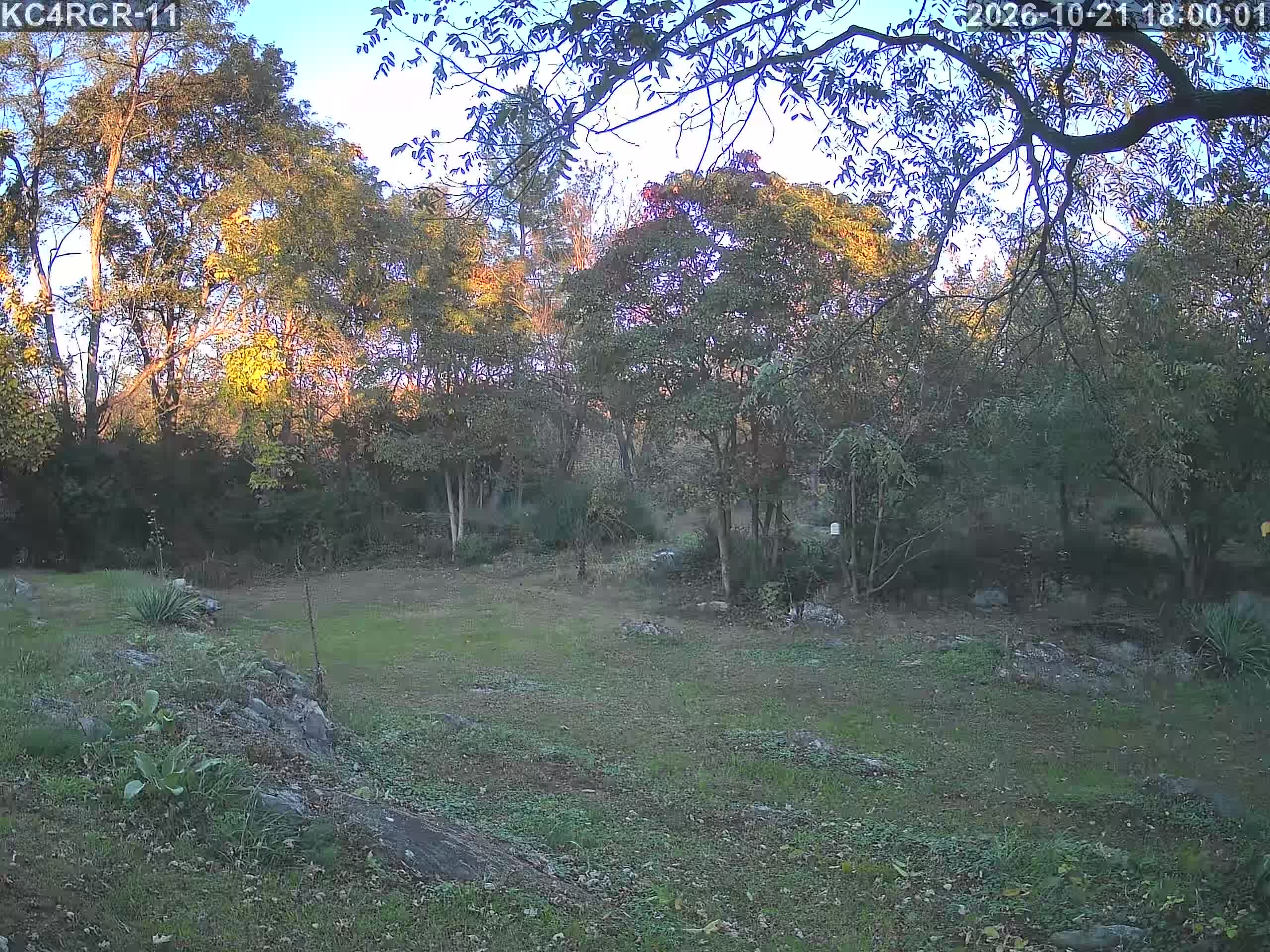 Outside camera view