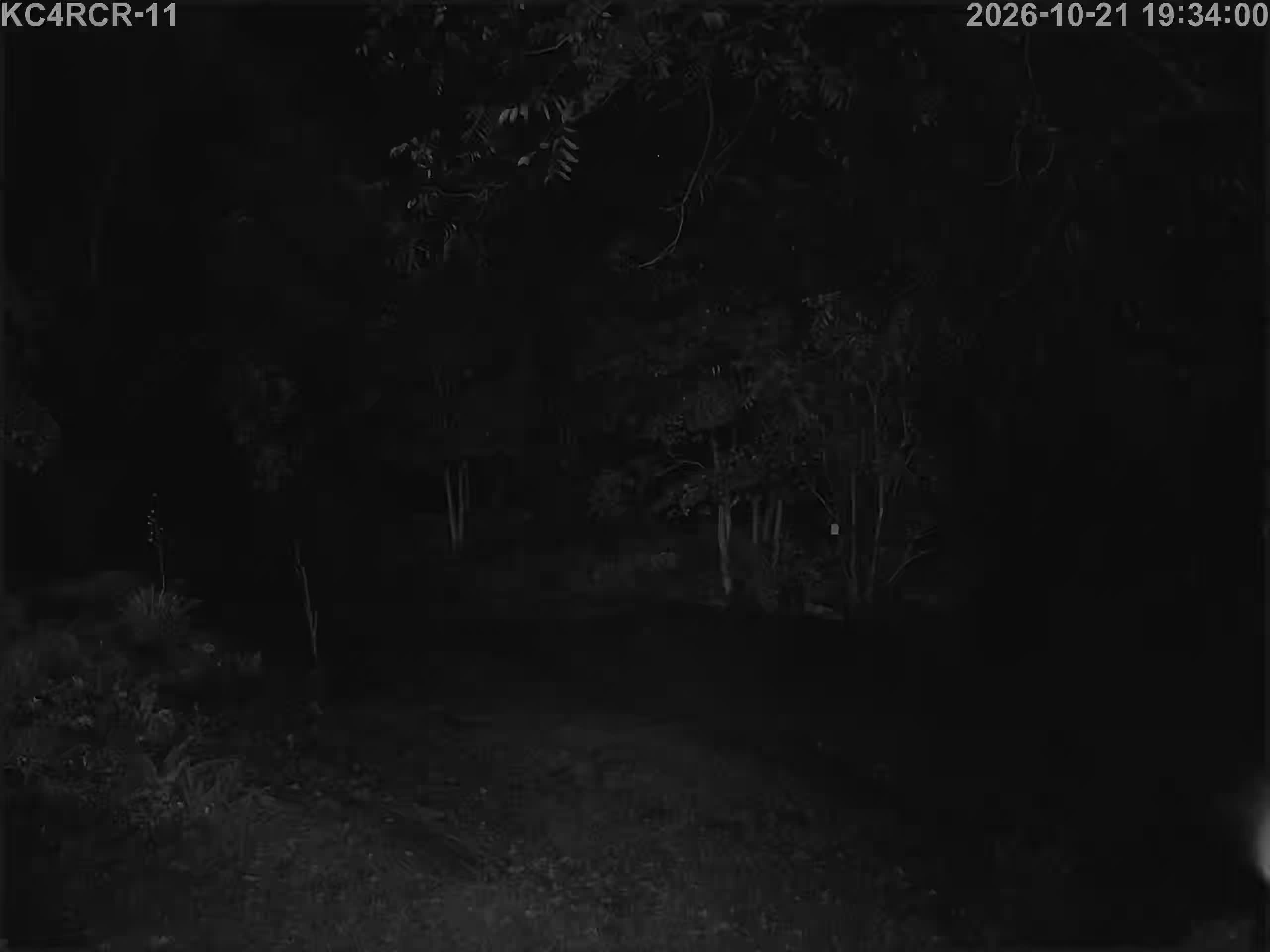 Outside camera view