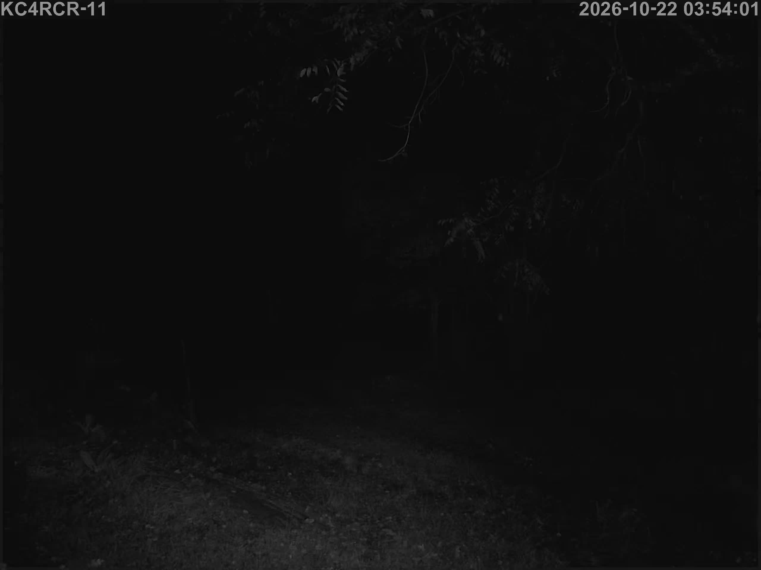 Outside camera view