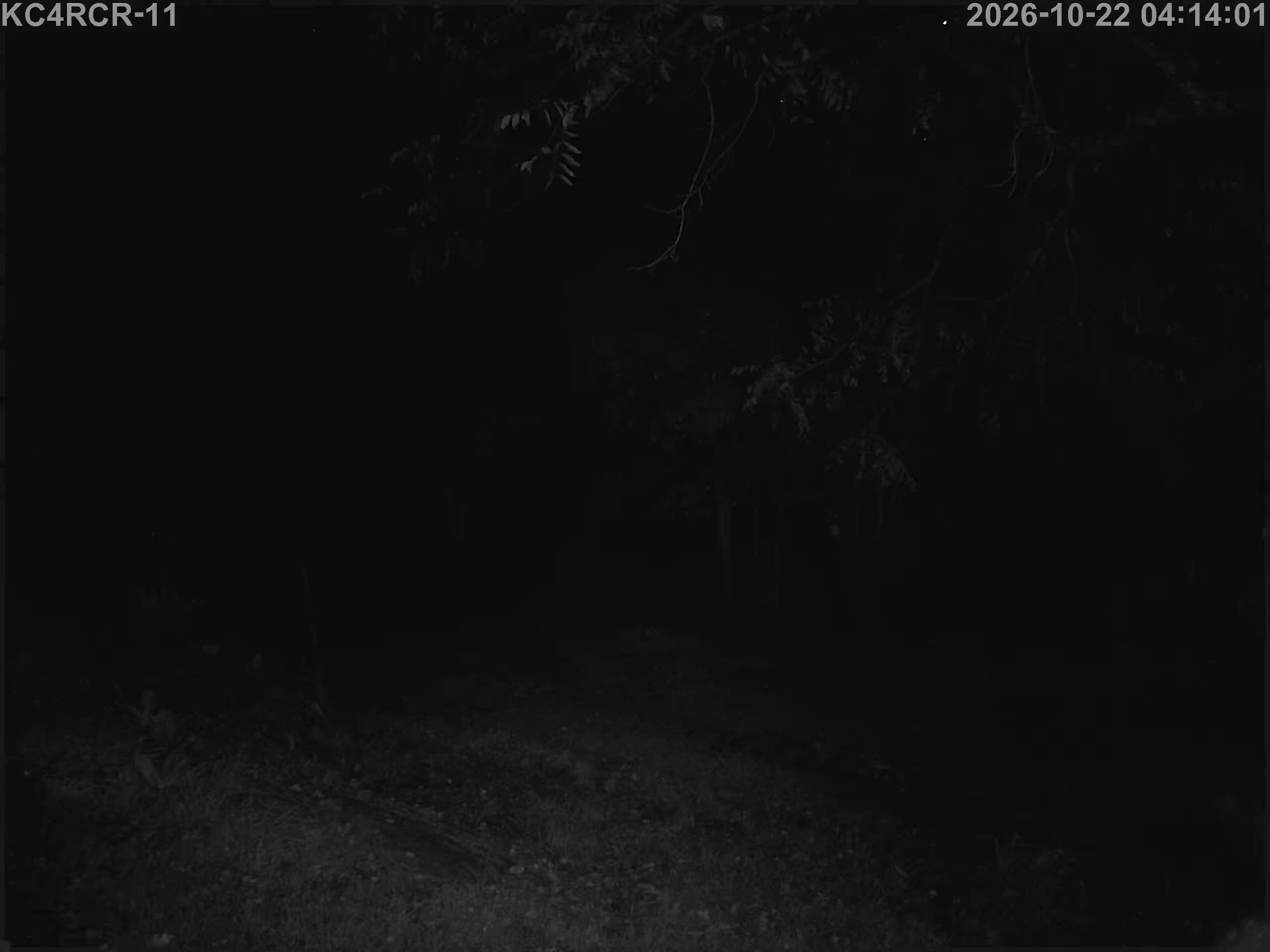 Outside camera view