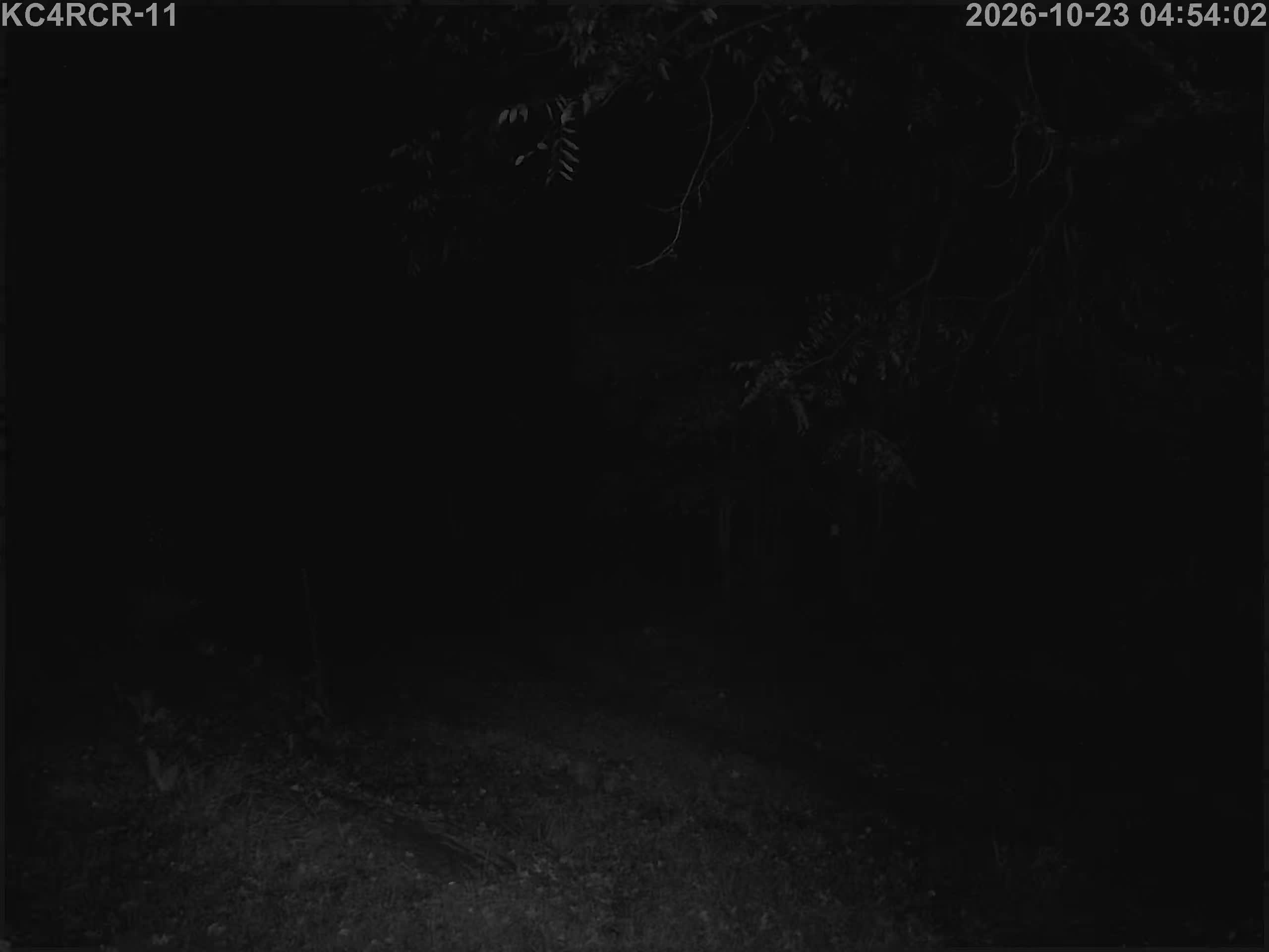 Outside camera view