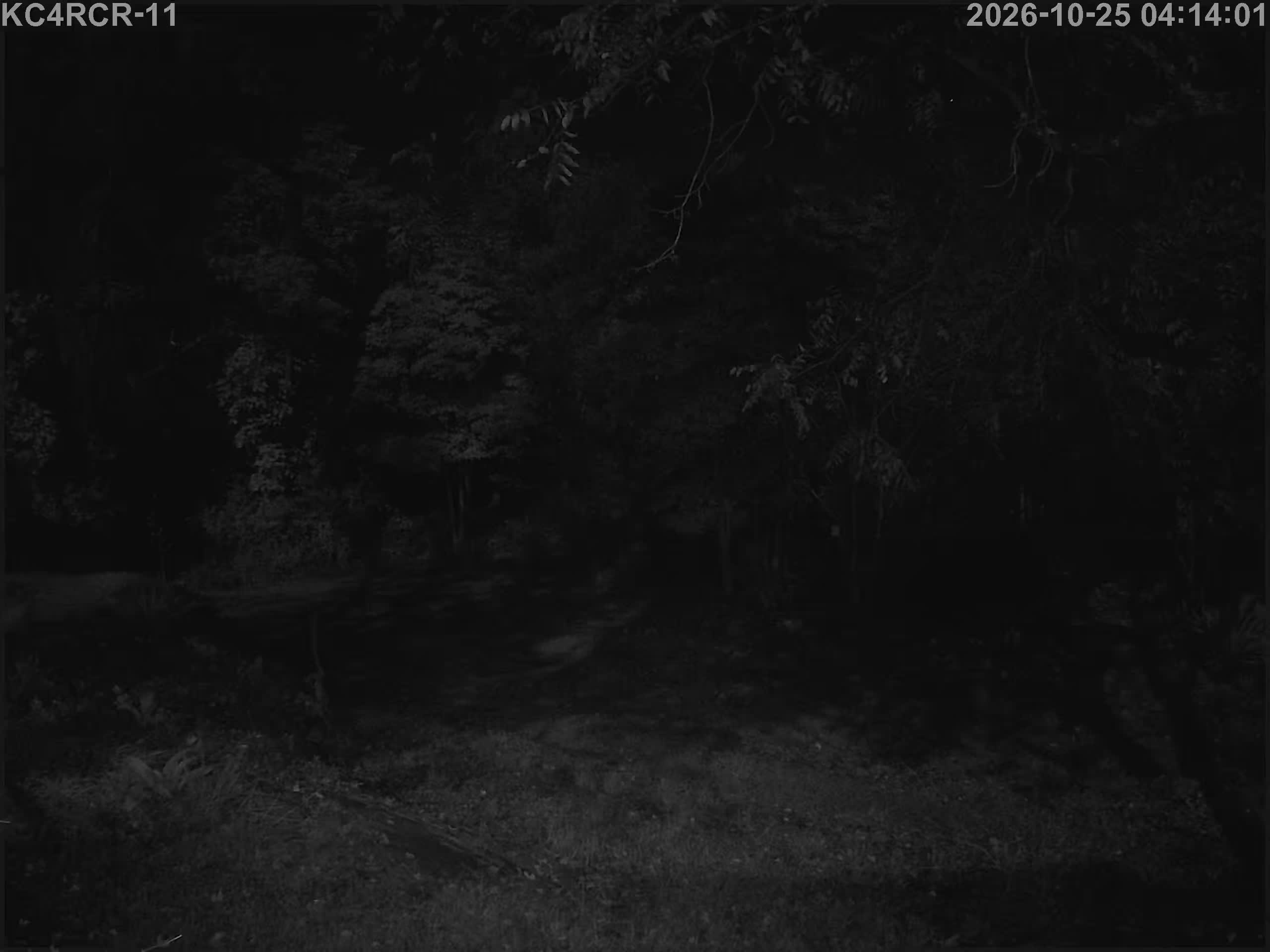 Outside camera view