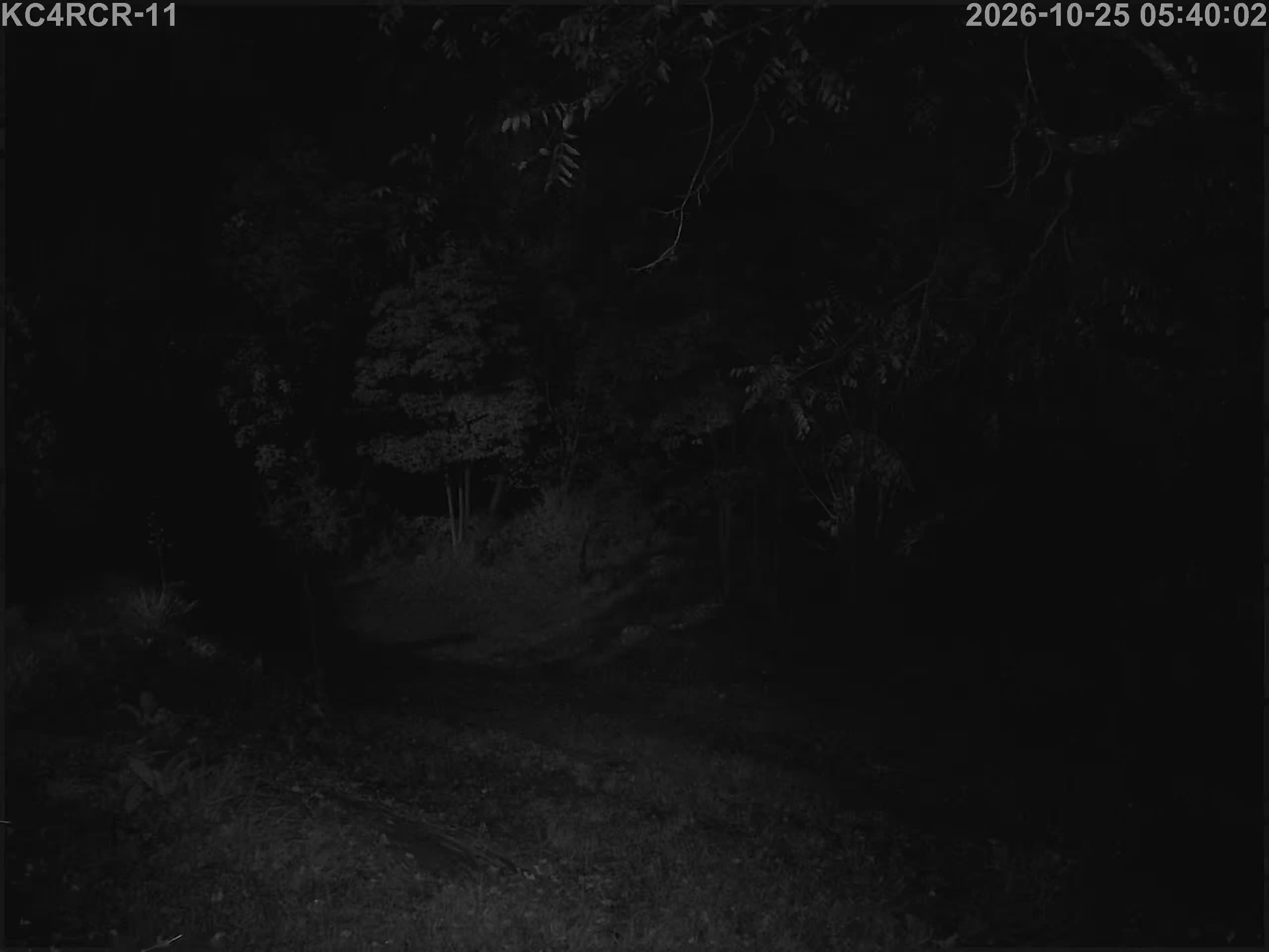 Outside camera view