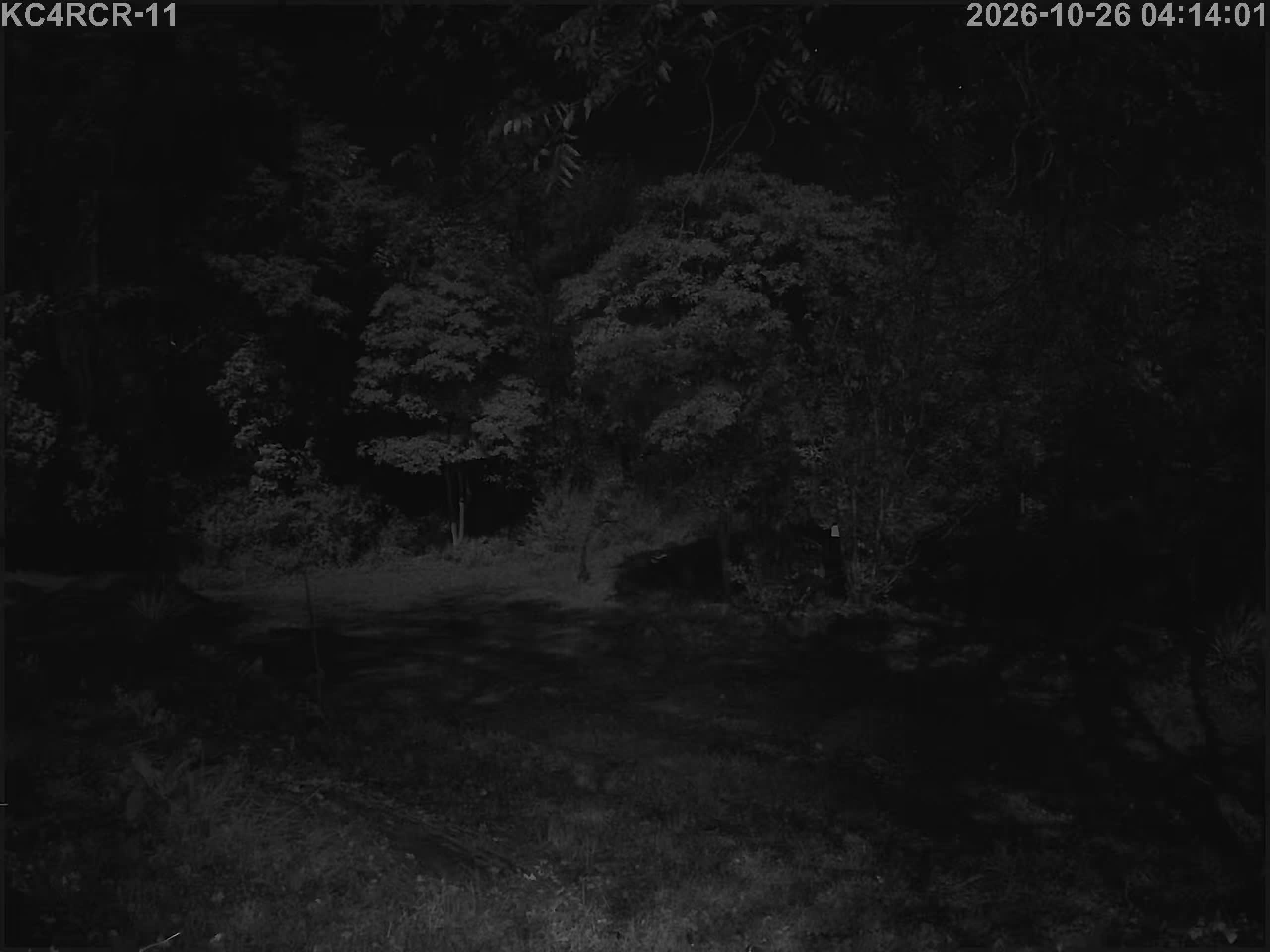 Outside camera view