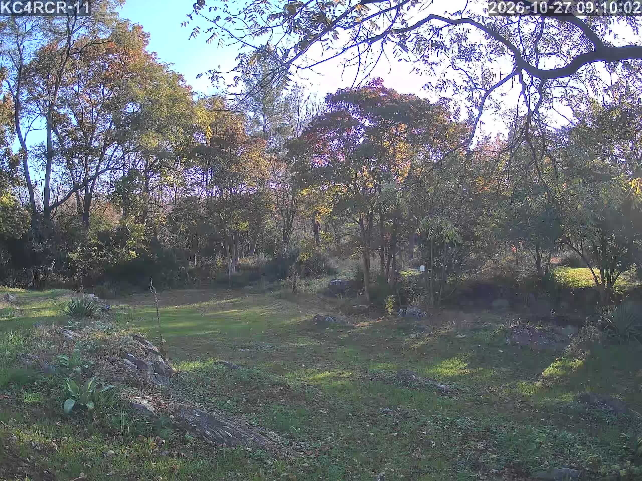 Outside camera view