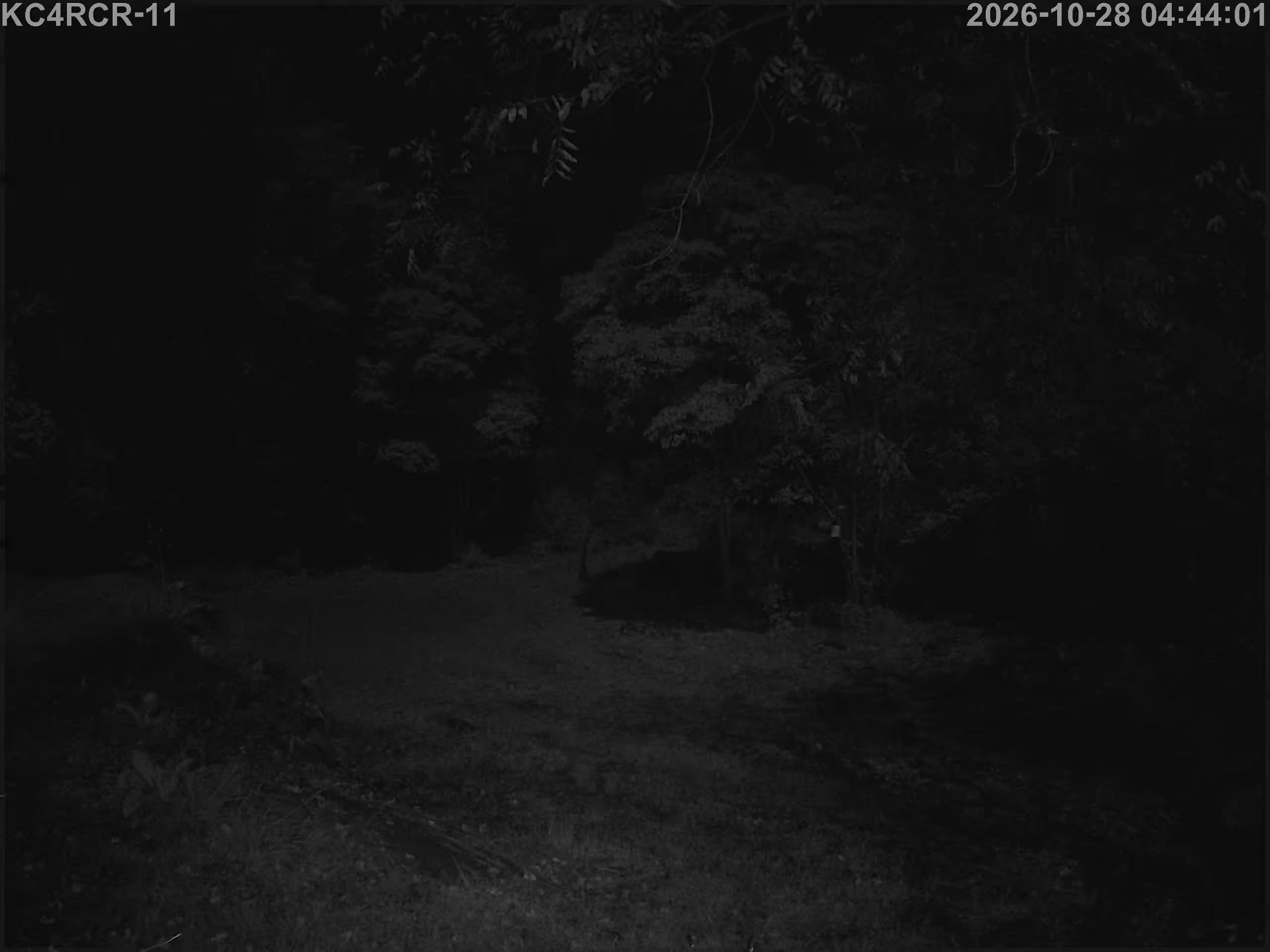 Outside camera view