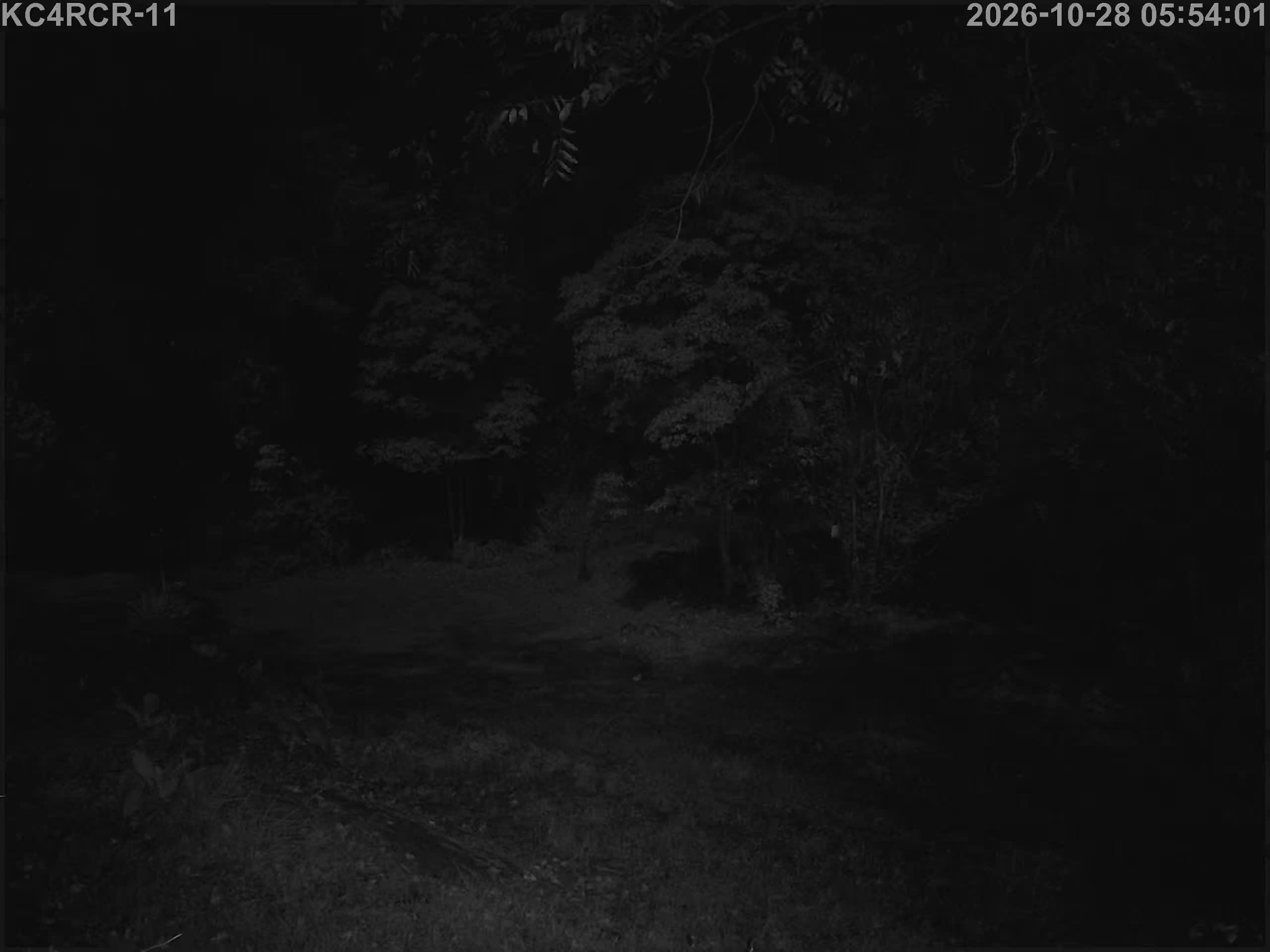 Outside camera view
