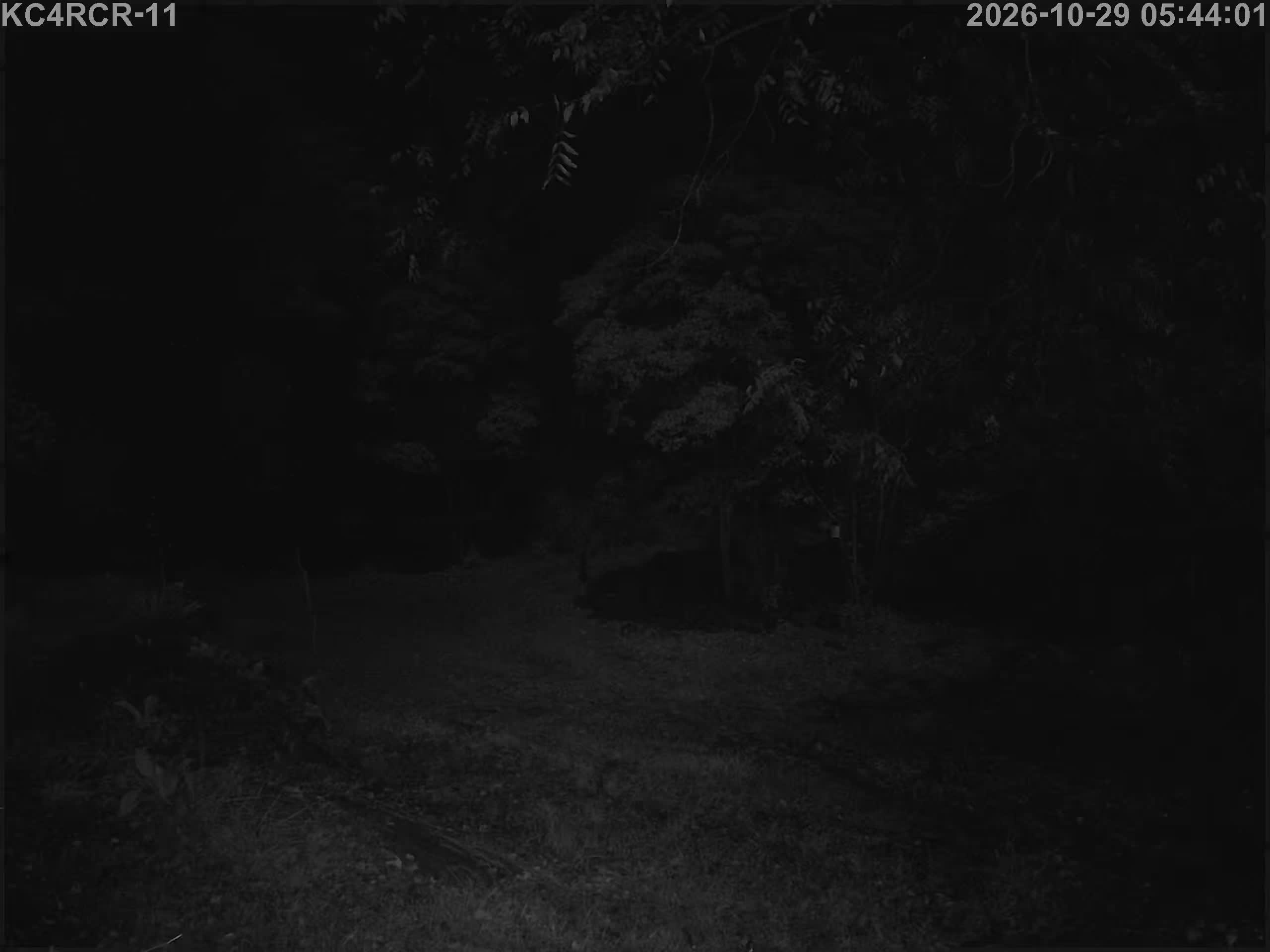 Outside camera view