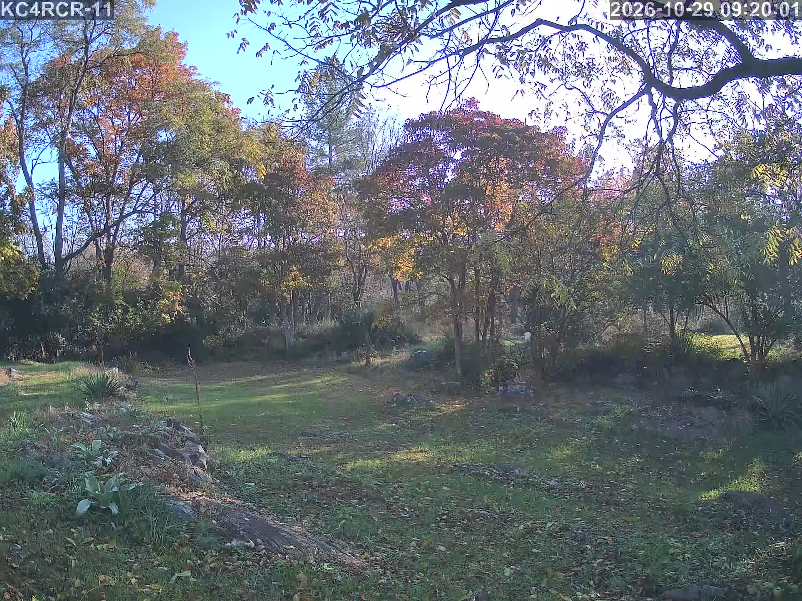 Outside camera view