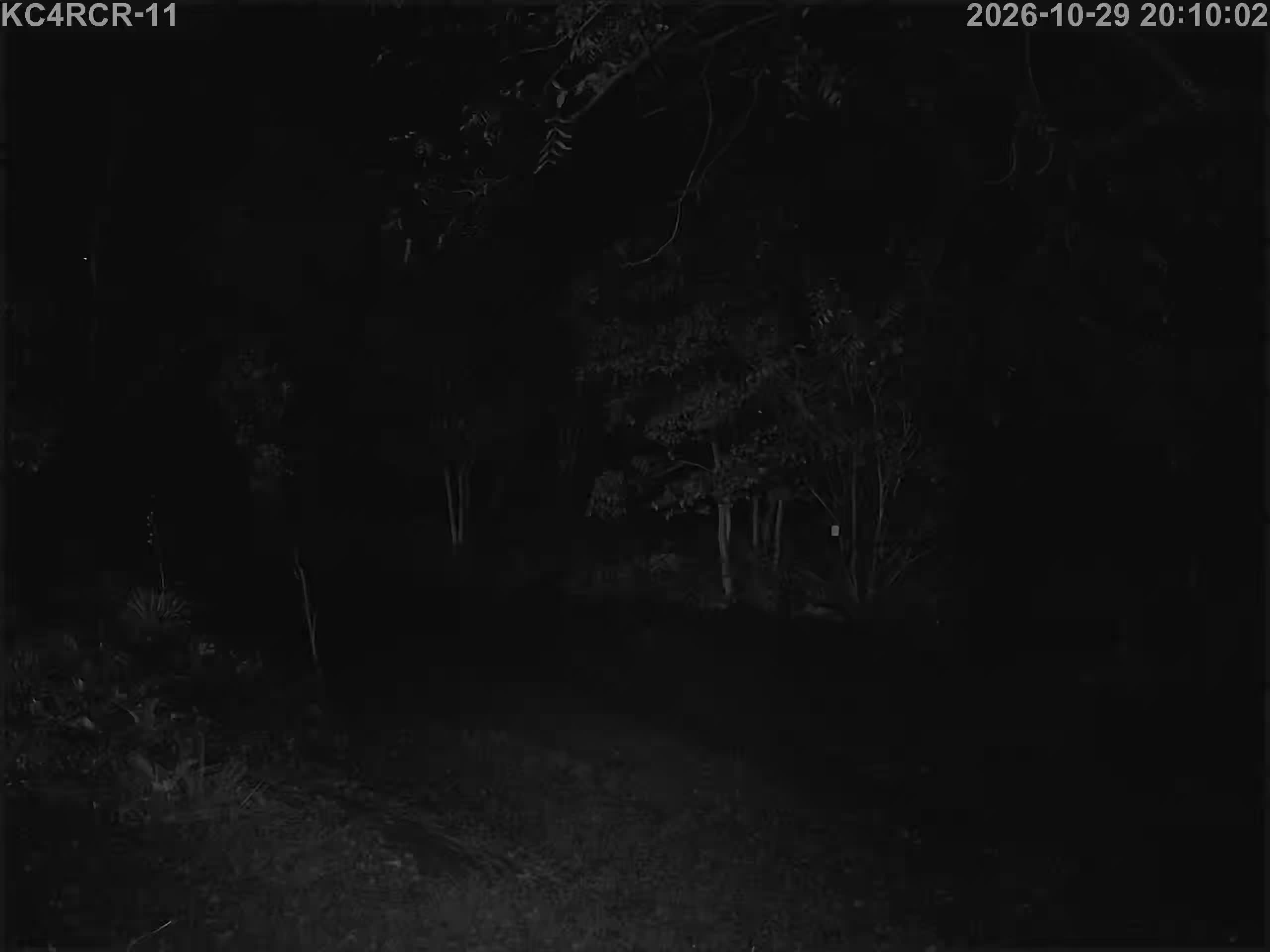 Outside camera view