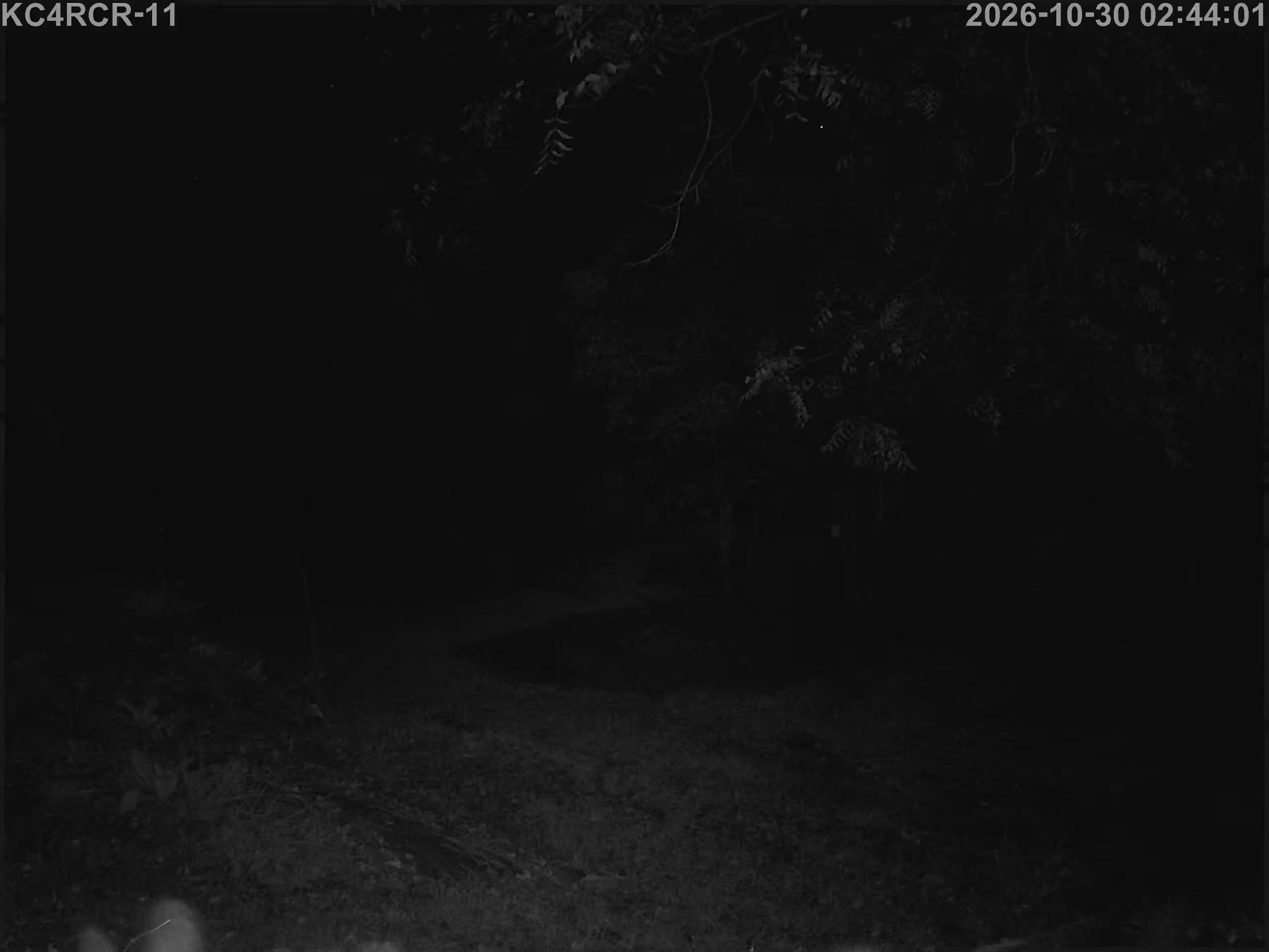 Outside camera view