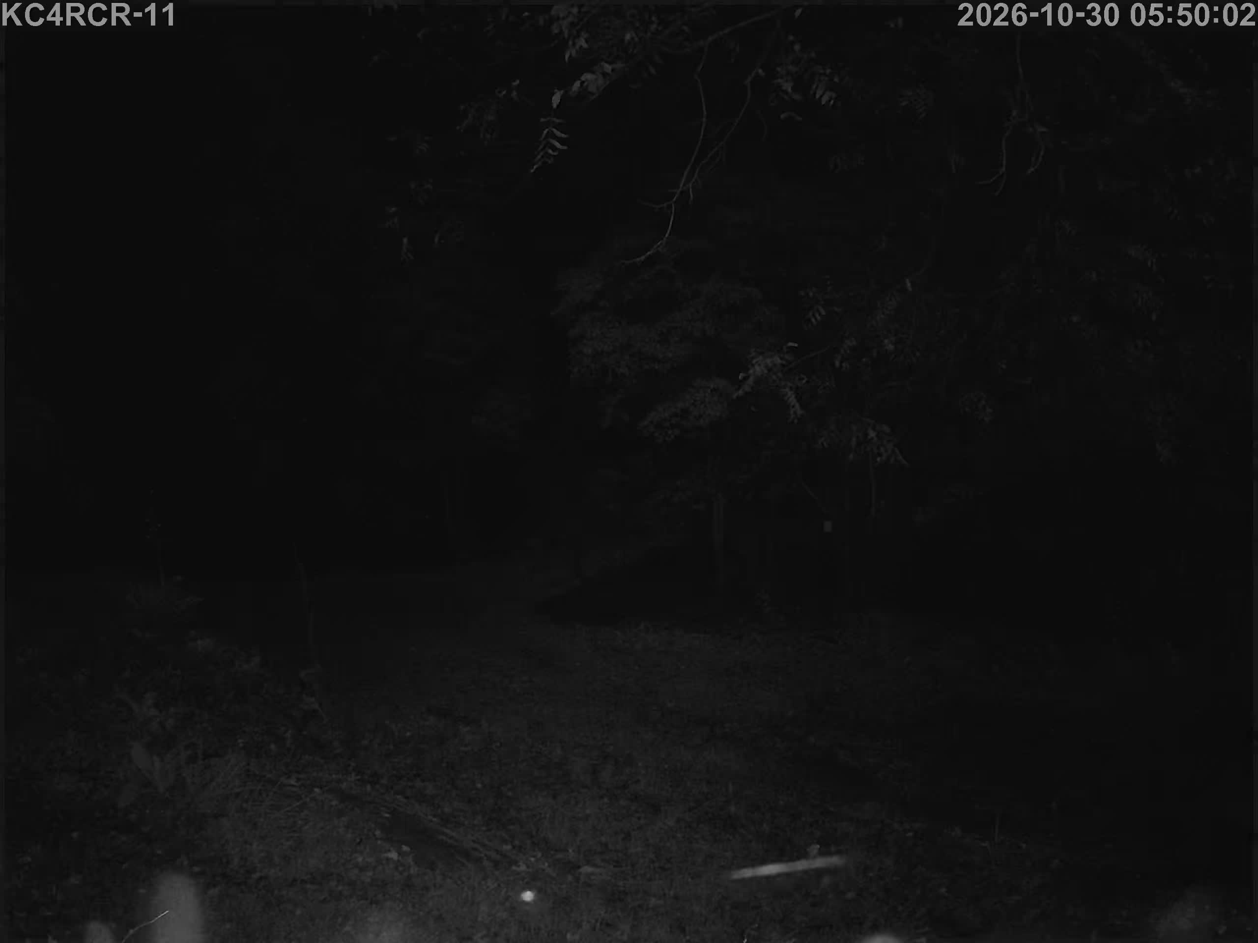 Outside camera view